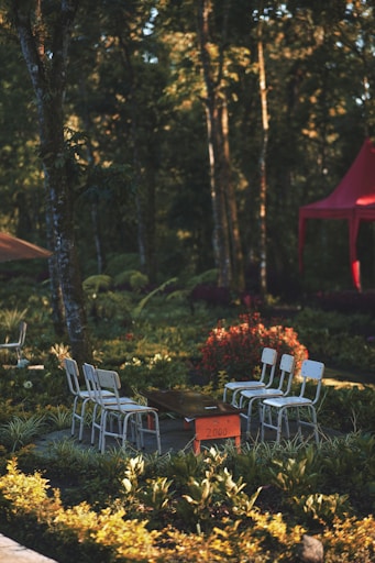 Forest Lounge